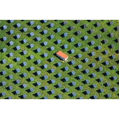 Solar field 6