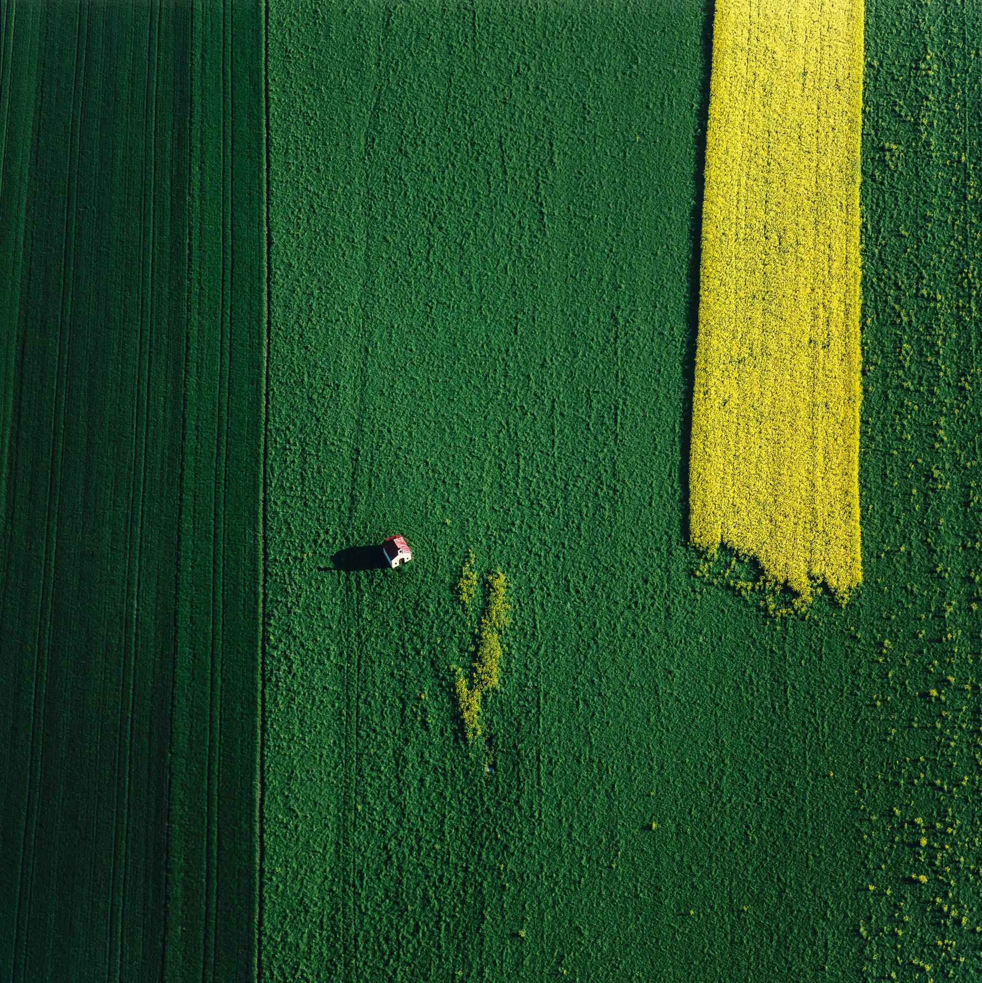 Klaus Leidorf Landscape Photograph - Yellow 