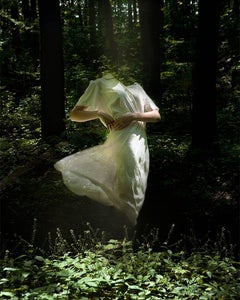Forests of Gaia
