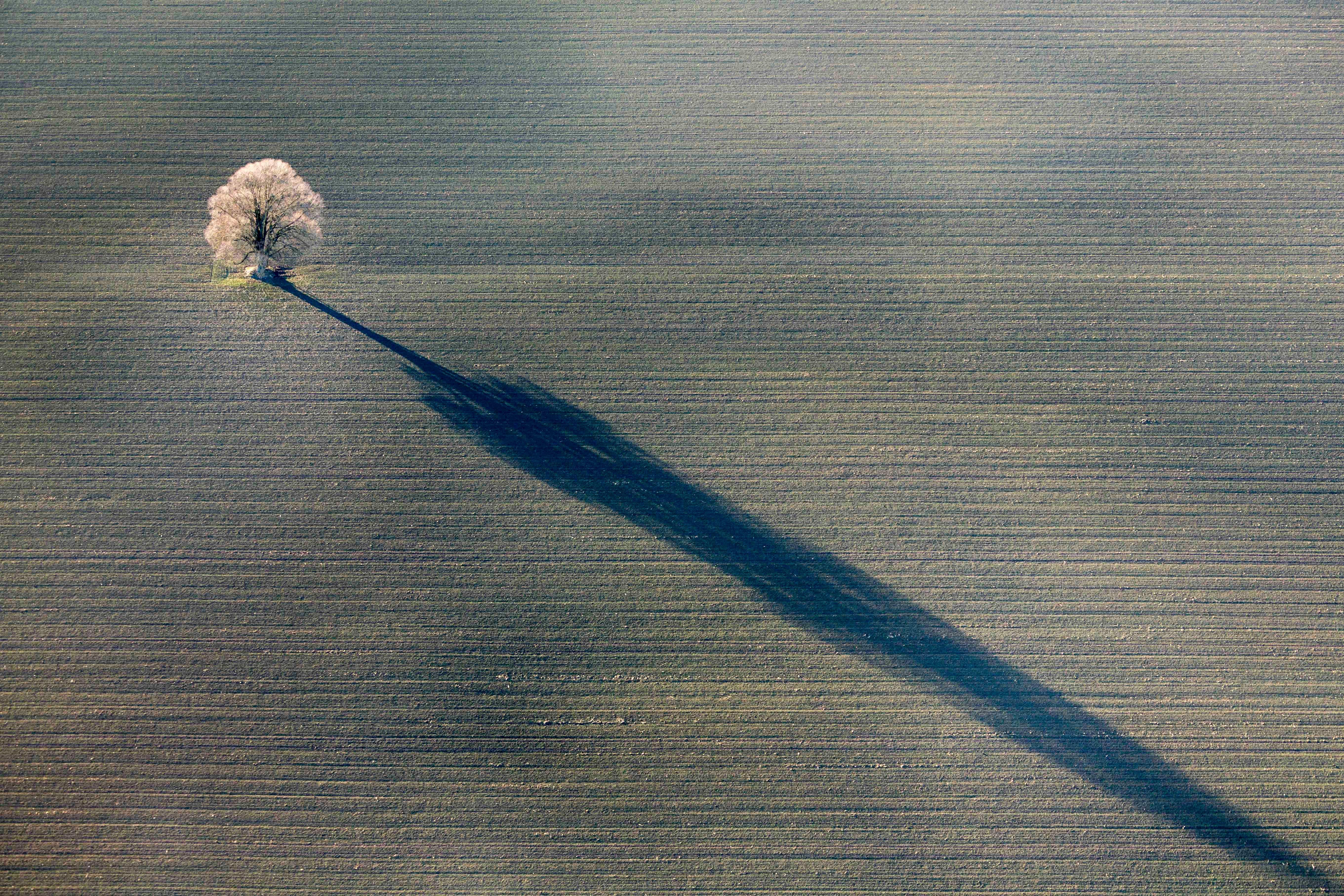 Klaus Leidorf Color Photograph - Shadow