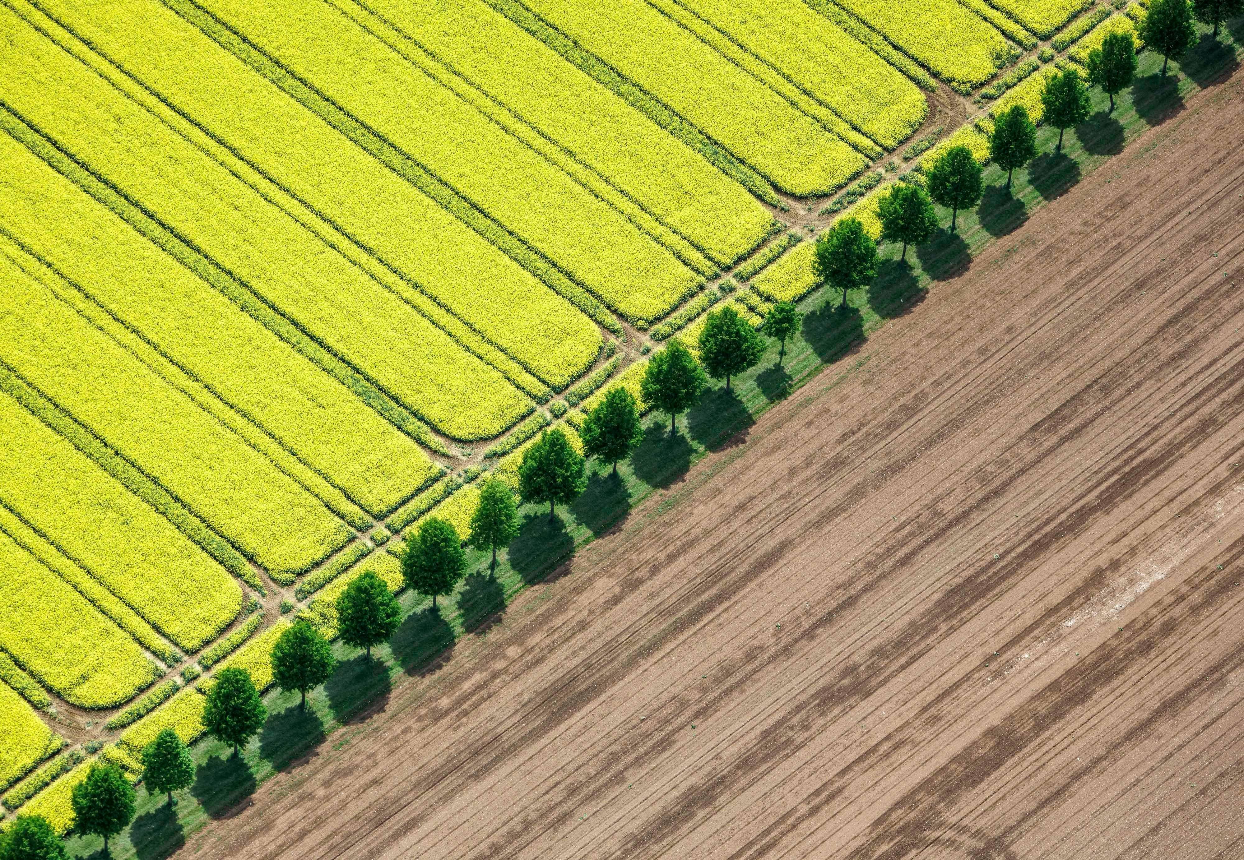 Klaus Leidorf Color Photograph - Green line - landscape photography