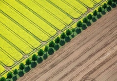 Green line - landscape photography