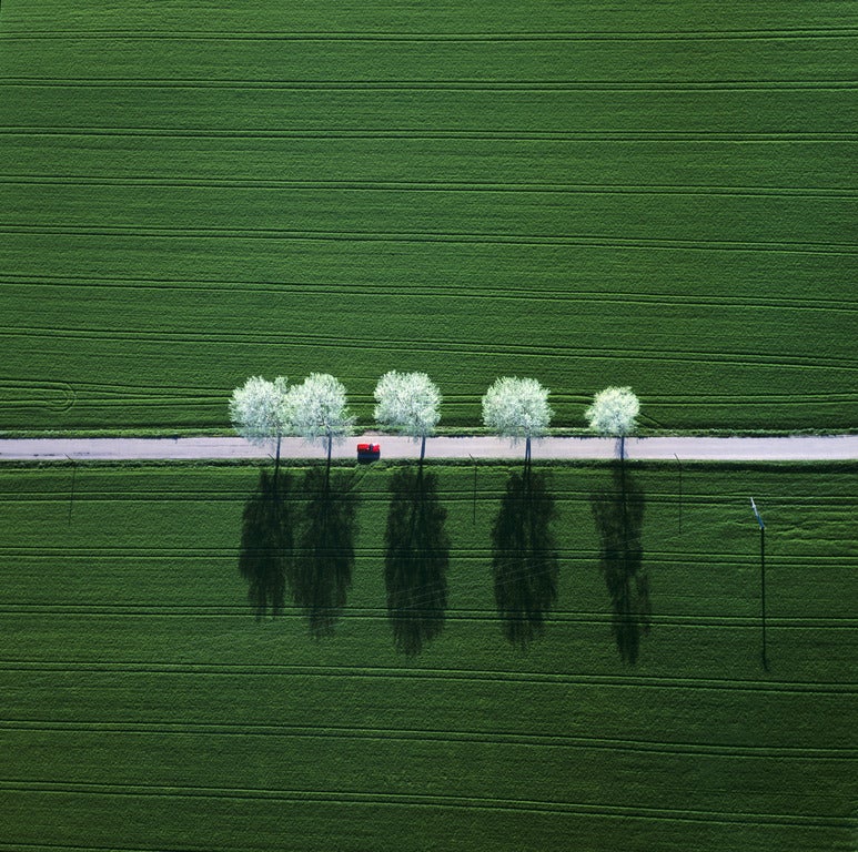 Weiße weiße Linie - Farbfotografie