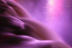 Amor Purpura 3