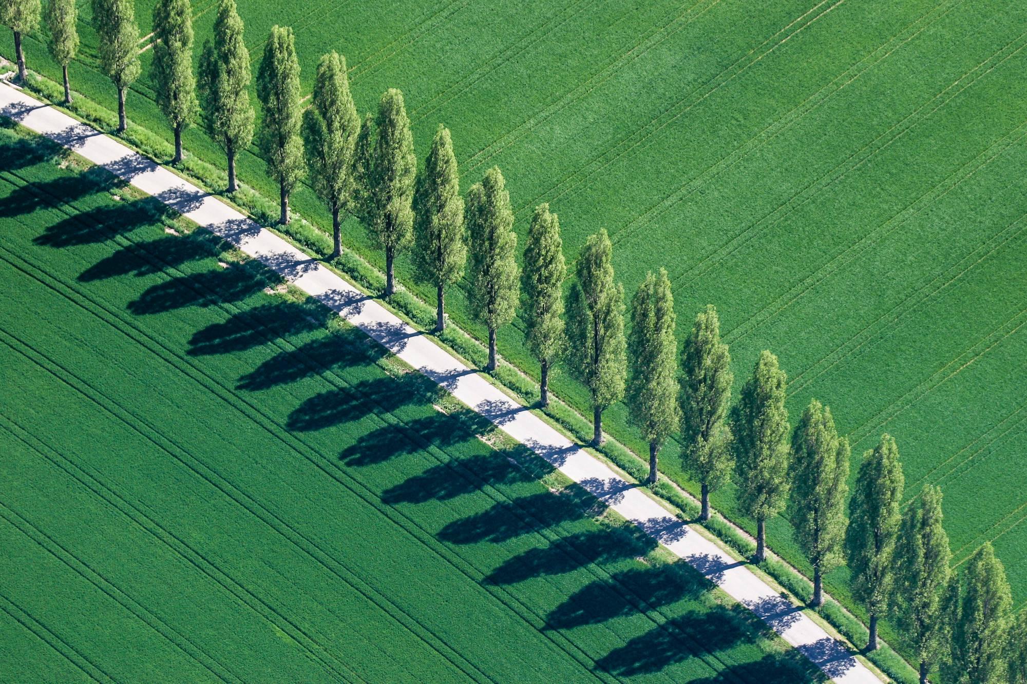 Klaus Leidorf Landscape Photograph – Grüne Linie