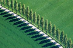 Grüne Linie