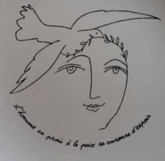 Pigeon and Young Boy