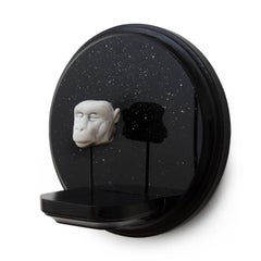 Albert VI, aka Yorick, Space Monkey series