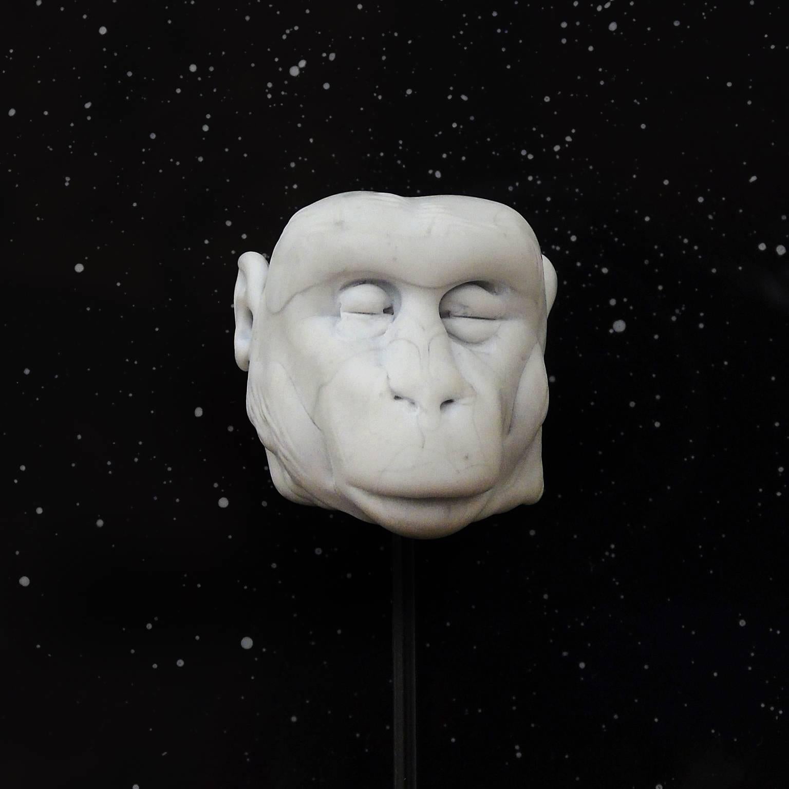 Albert VI, aka Yorick, Space Monkey series - Contemporary Sculpture by Marshall Hyde