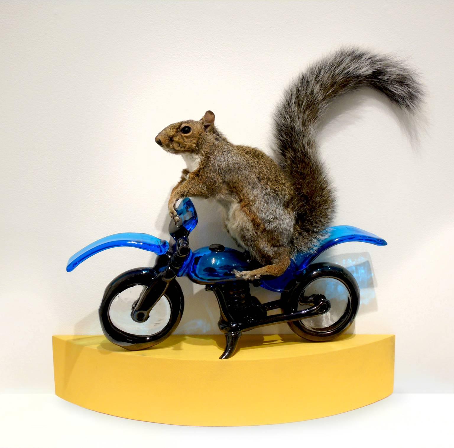 #thesquirrels (Squirrel on a Glass Motorcycle) - Mixed Media Art by Angus M. Powers