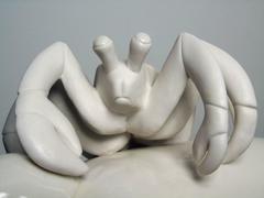 Starter Pet Adaptation - white crab on rocket