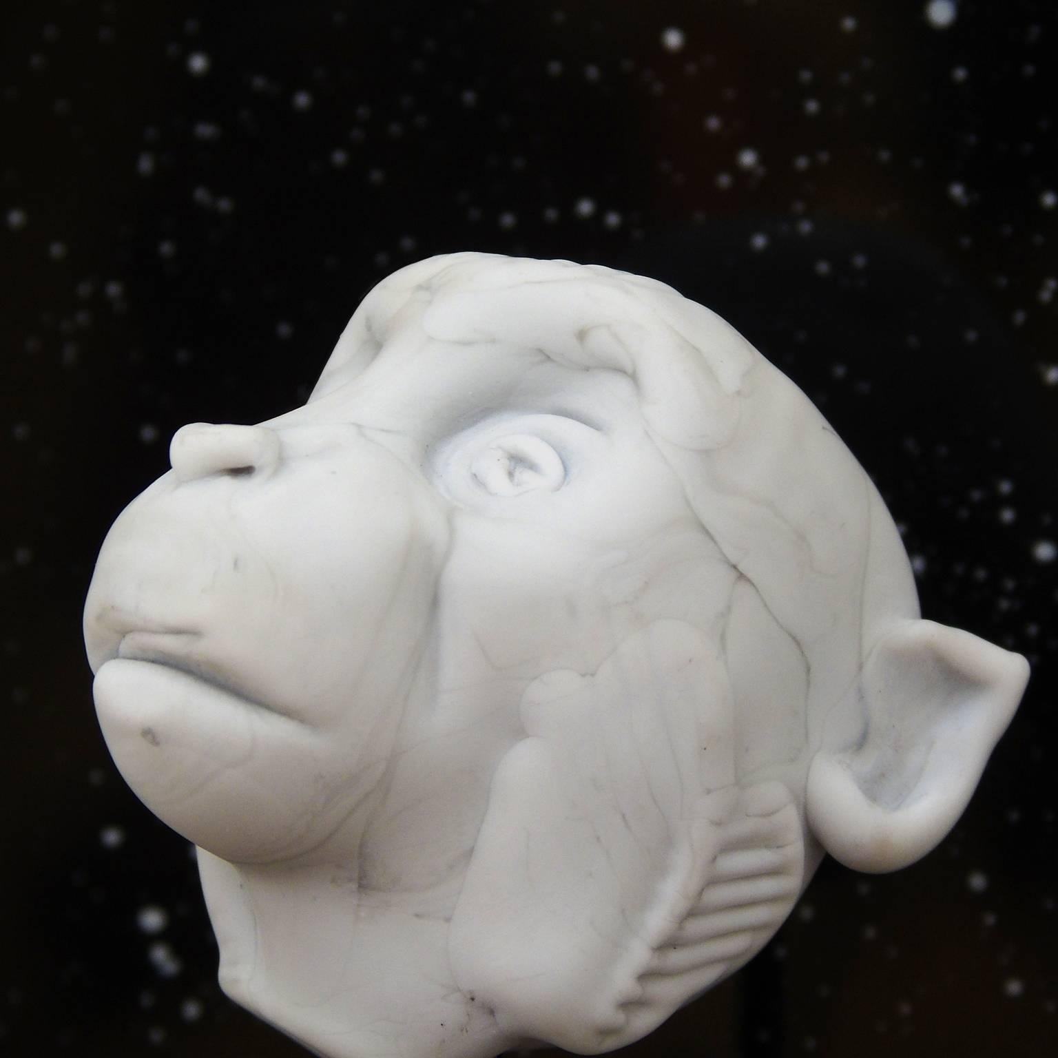 Albert I, by Marshall Hyde, is a portrait of the first primate astronaut. It is a one of a kind piece created from hot, flameworked glass. The white glass has some color variation and has been etched giving it the look of marble. The glass head is