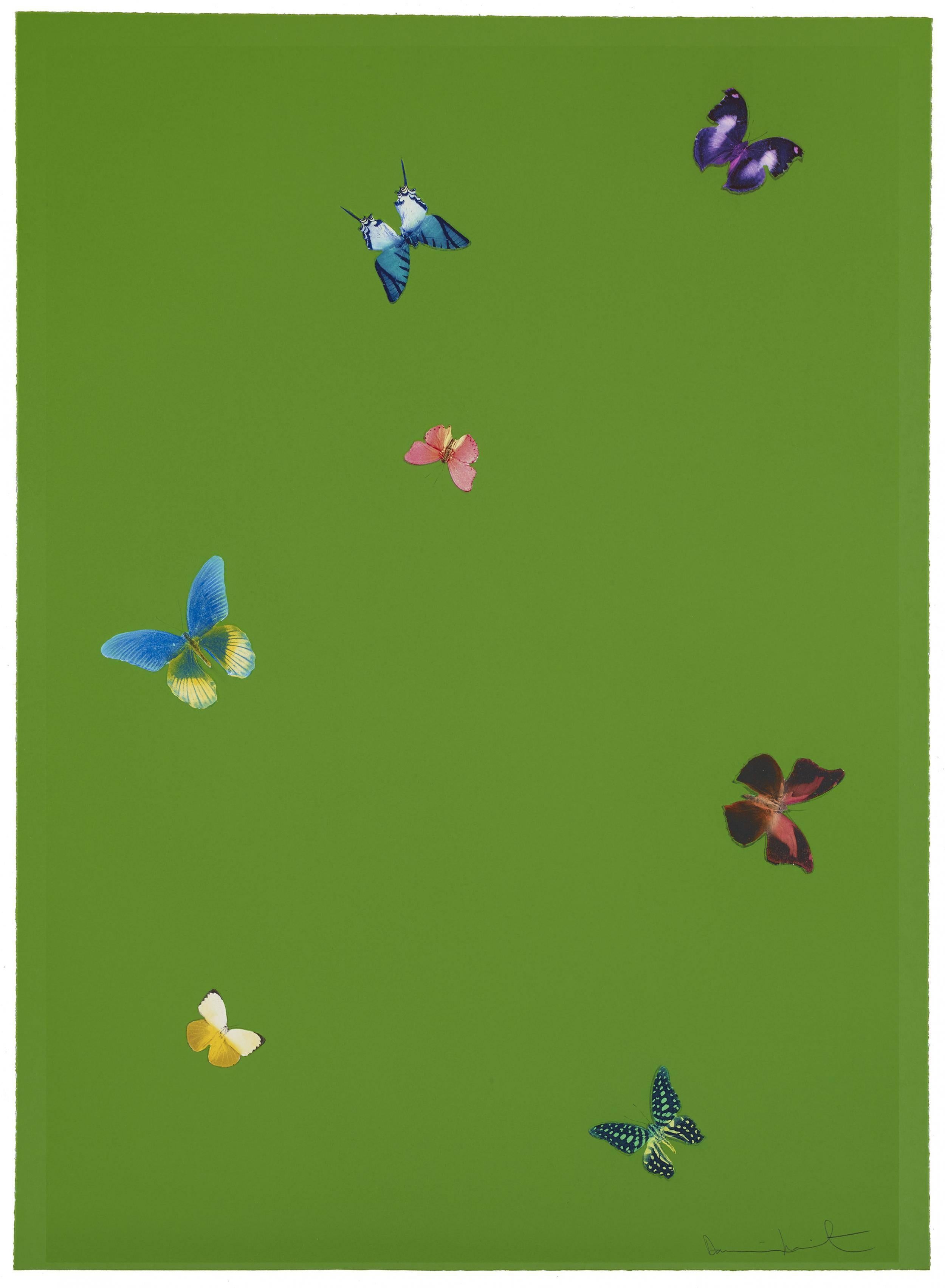 Your Taste - Print by Damien Hirst