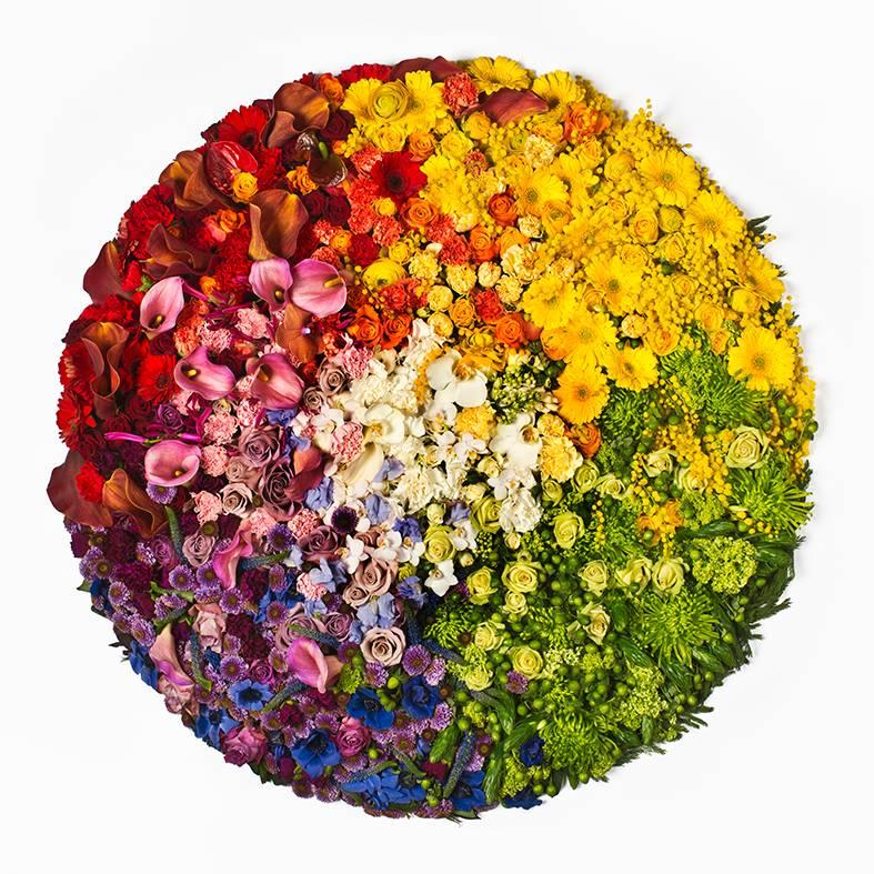 Colour Pixels - Photograph by Clara Hallencreutz