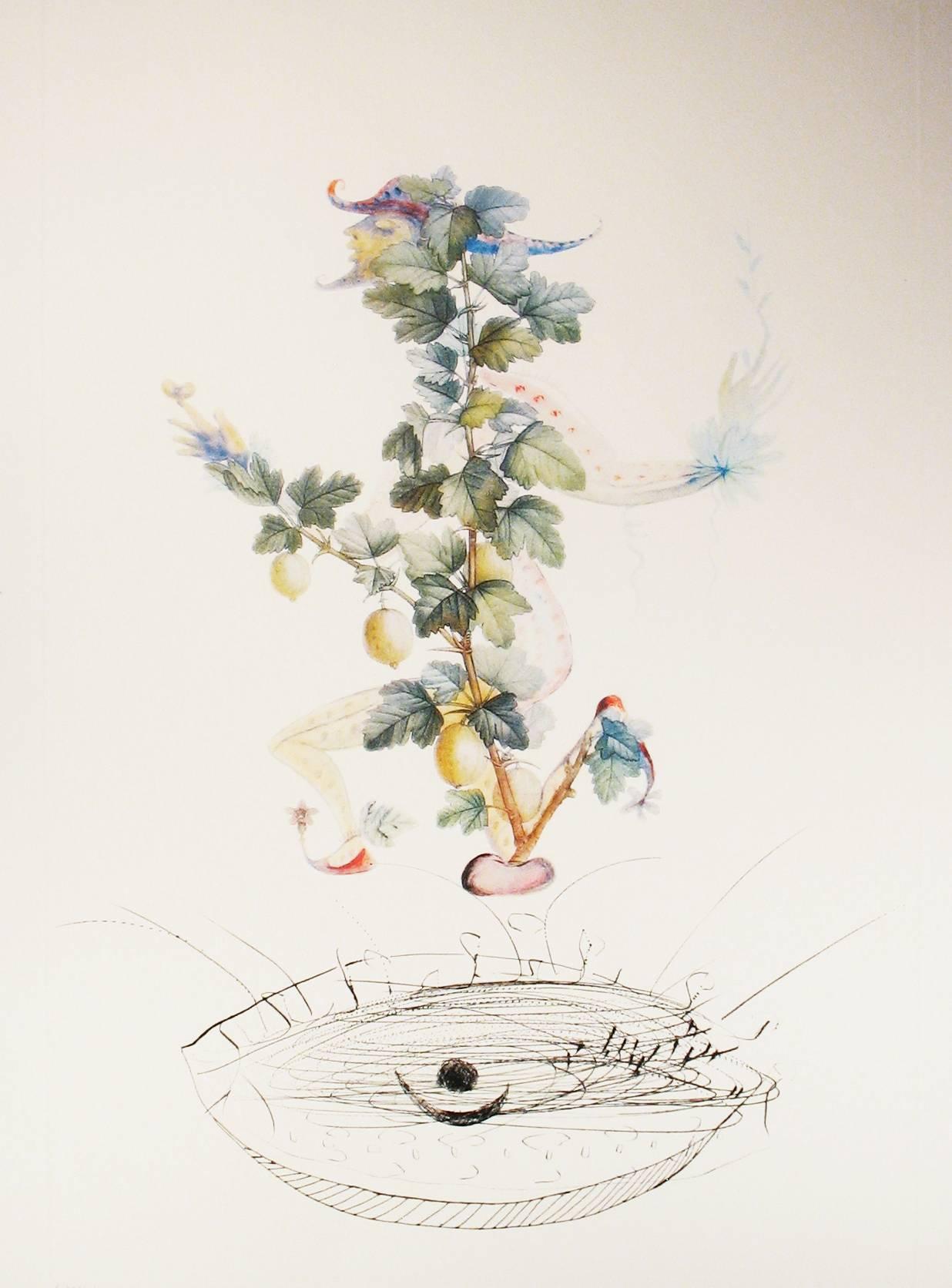 Gooseberry Bush - Print by Salvador Dalí