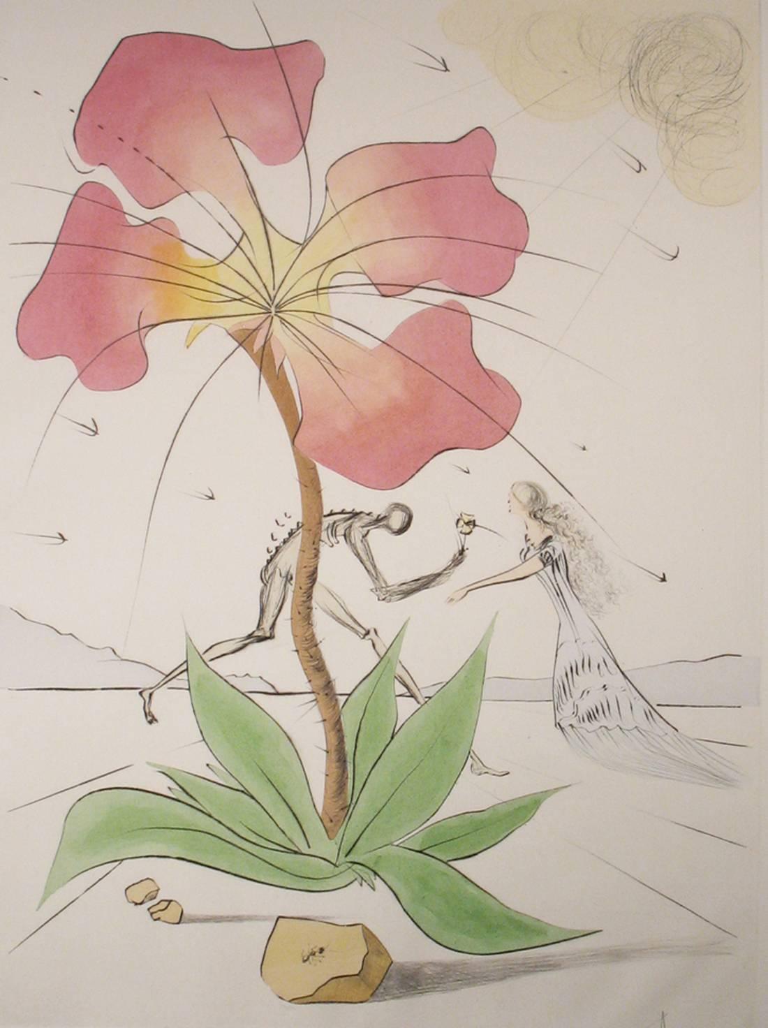 Reuben - Print by Salvador Dalí