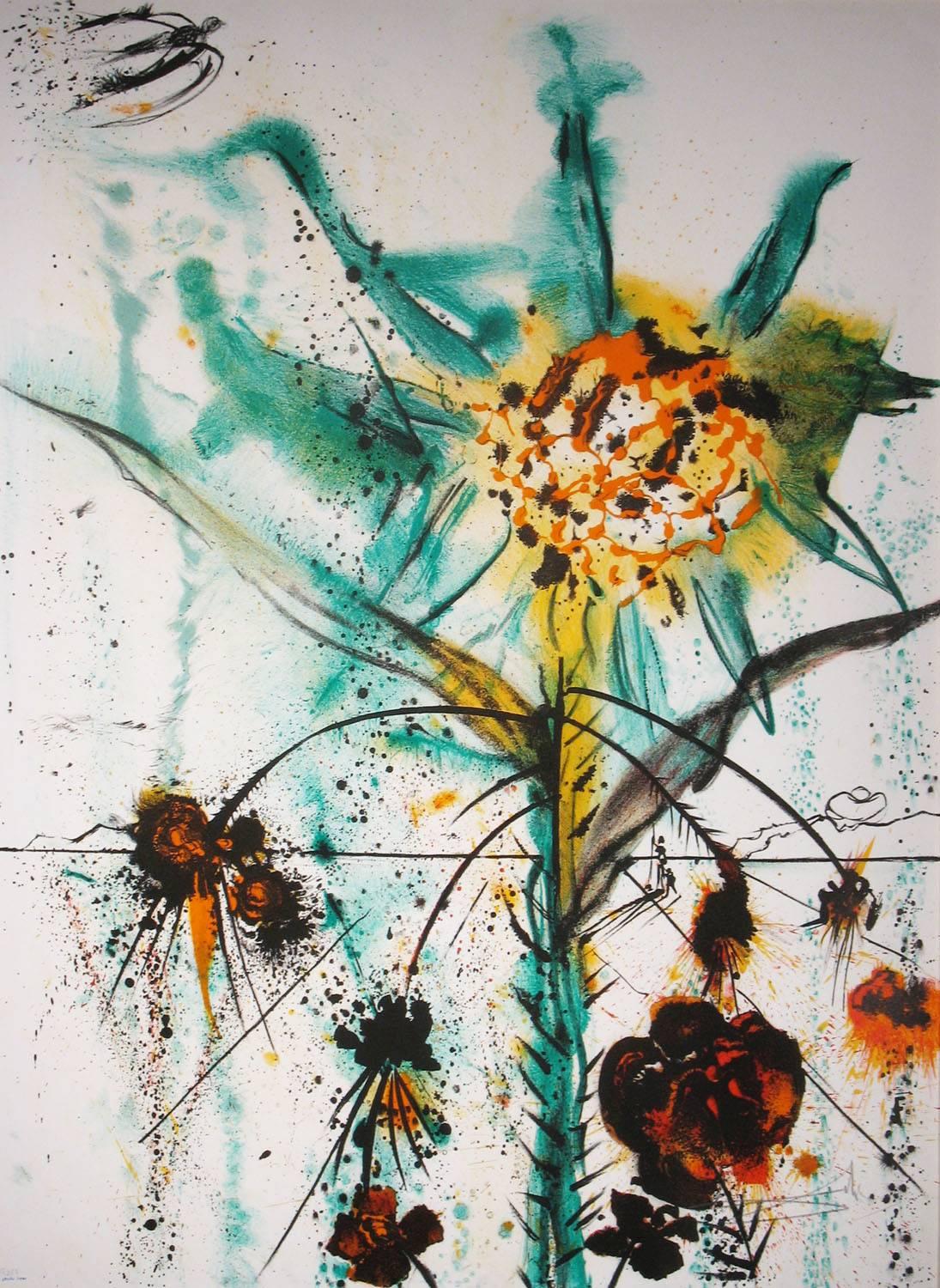 Sun Goddess Flower  - Print by Unknown