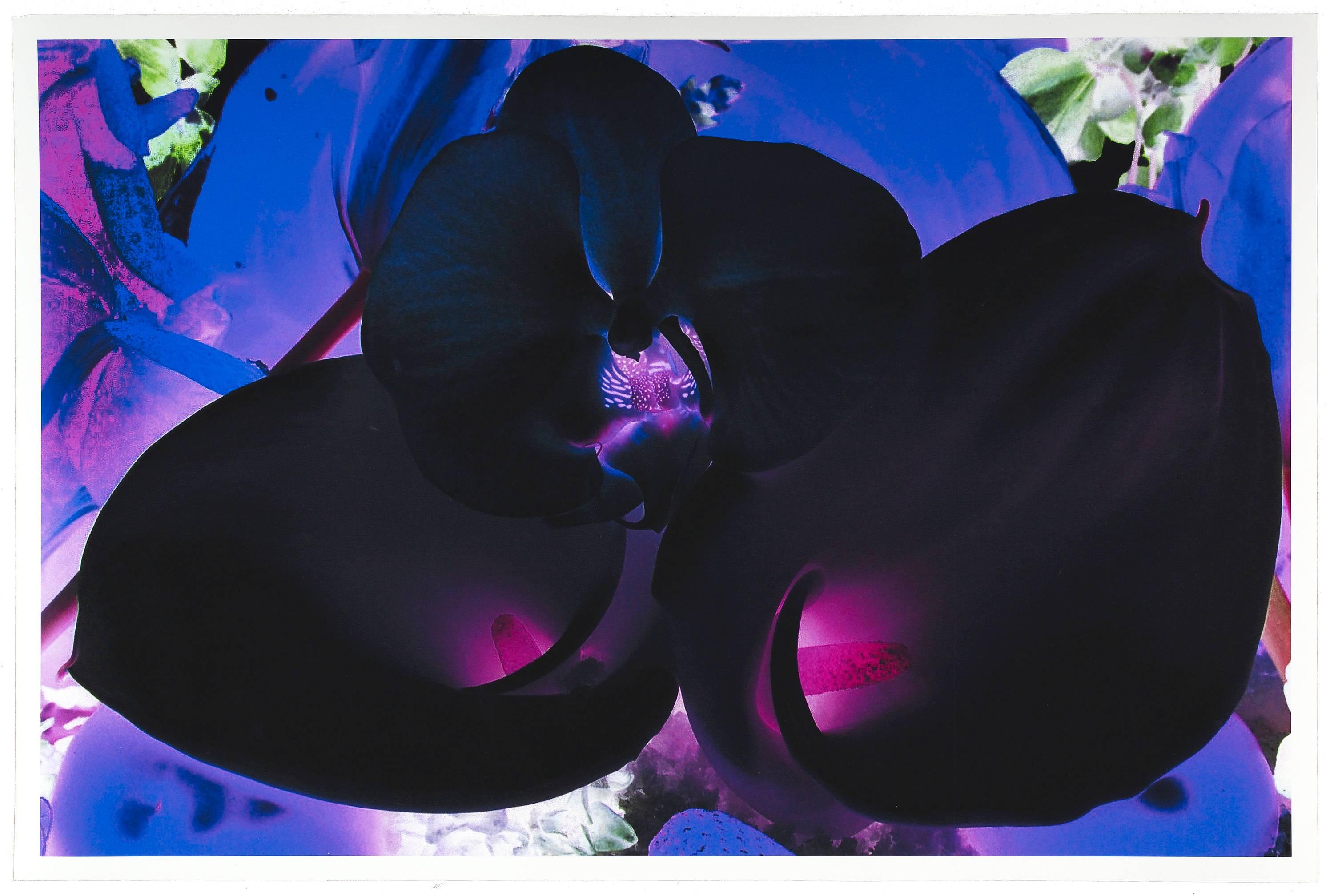 At the Far Edges of the Universe V - Print by Marc Quinn