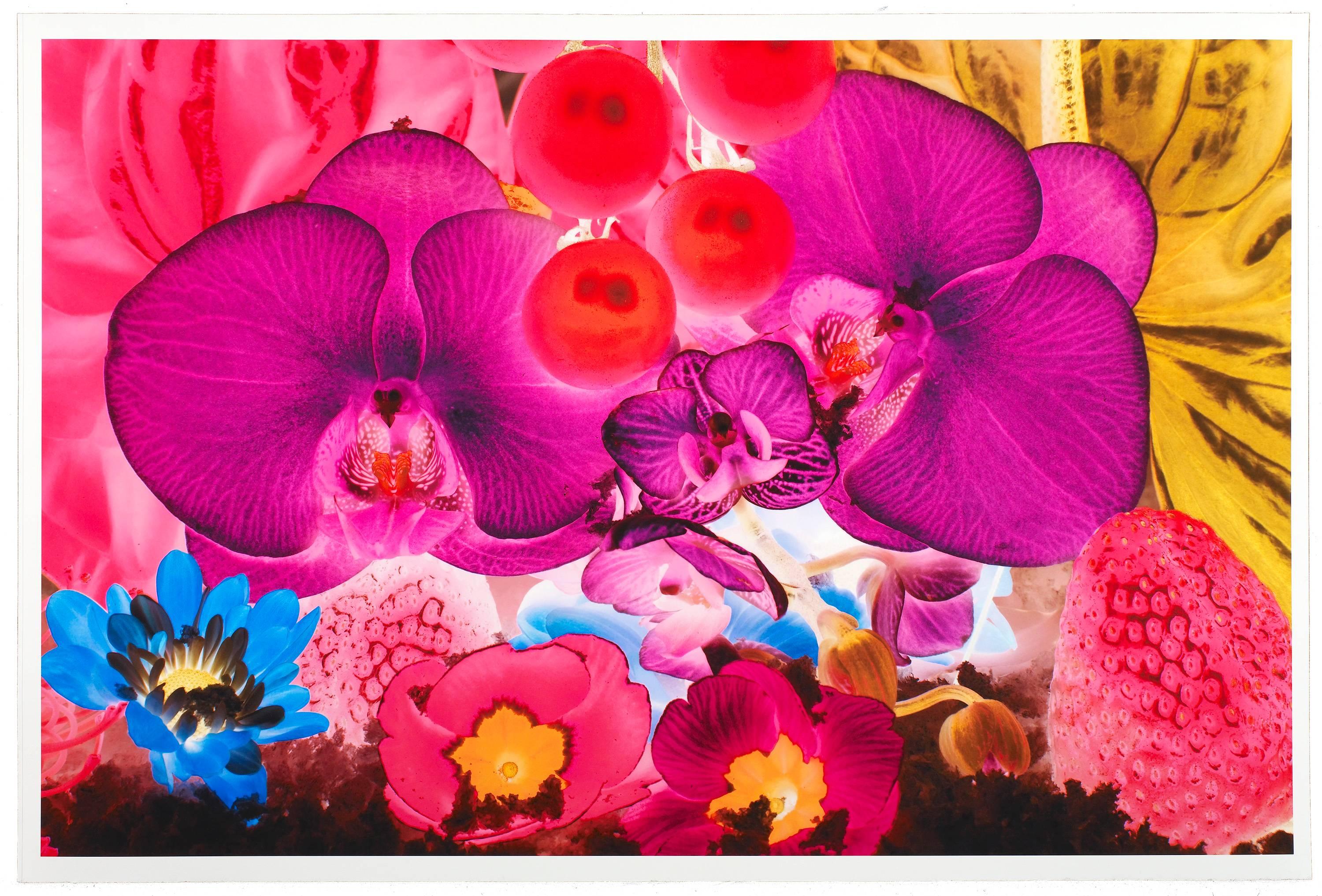 At the Far Edges of the Universe III - Print by Marc Quinn