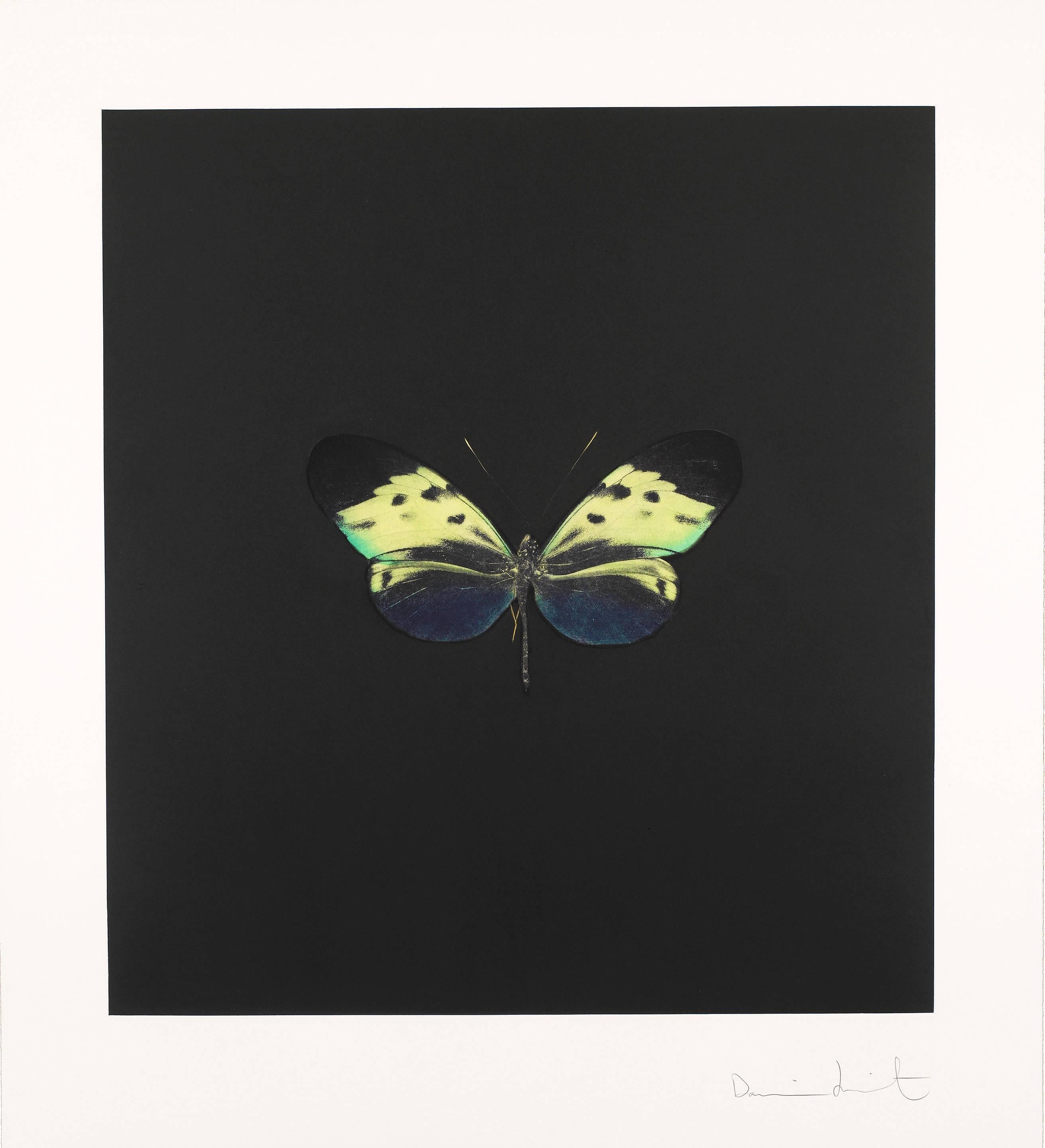 Souls on Jacob's Ladder (04) - Print by Damien Hirst
