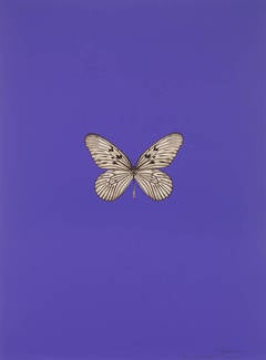 Its a Beautiful Day (purple)