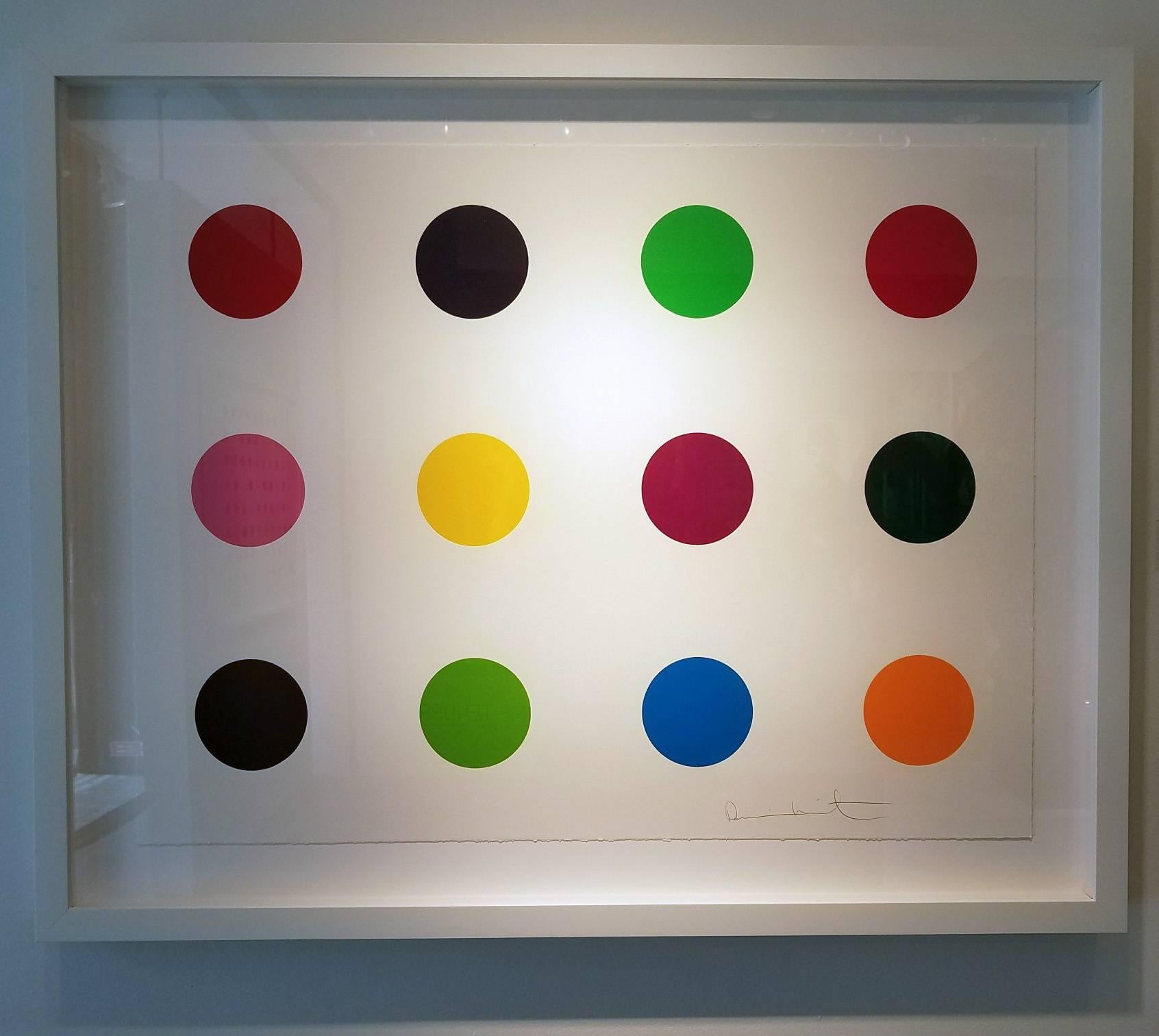 METHIONINE - Young British Artists (YBA) Print by Damien Hirst