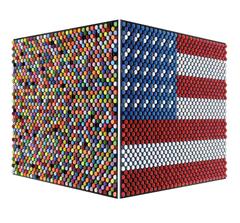 American Beauty (small) 1