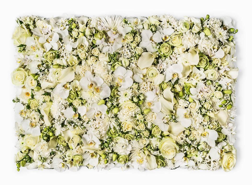 Una pincelada de blanco - Photograph de Clara Hallencreutz