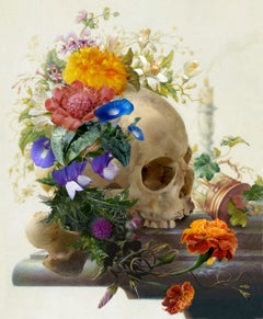 LED Light Box - Still life, Herman Henstenburgh 02