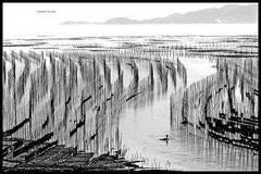 Photography rural landscape of China, Xiapu 7