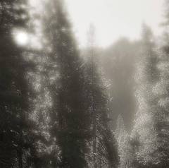 California landscapes and abstracts  - silver gelatin prints (gelatin silver)
