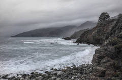 Photograph - Misty Mar (California landscape)