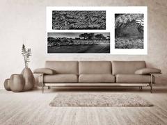 Award winning wildlife photography - Prix de la Photographie Paris - framing