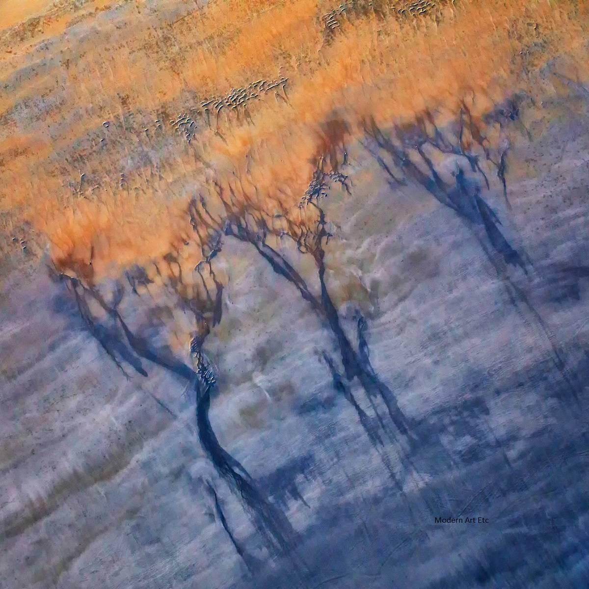 Luftfotografie von Erde, Land, Meer - abstrakte Landkunst der Erde F 011 (Abstrakt), Photograph, von MAE Curates