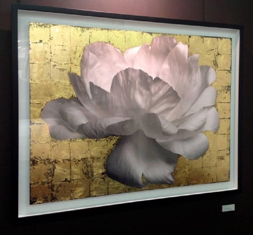 Fotografie – großformatige abstrakte Schwarz-Weiß-Fotografie „Flower-Serie – PEONY“  – Photograph von MAE Curates