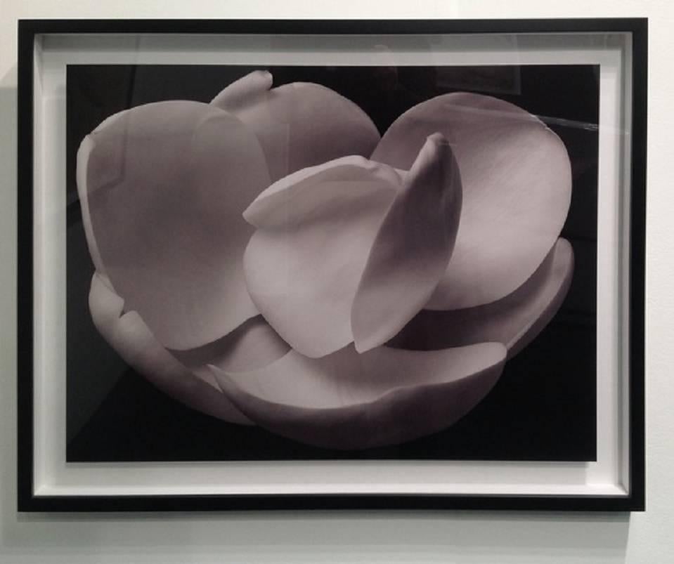 Fotografie – großformatige abstrakte Schwarz-Weiß-Fotografie „Flower-Serie – PEONY“  (Zeitgenössisch), Photograph, von MAE Curates