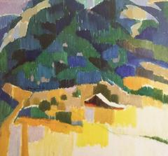 OIl on Linen - Forested Mountain, 1994, Pt. Reyes, California