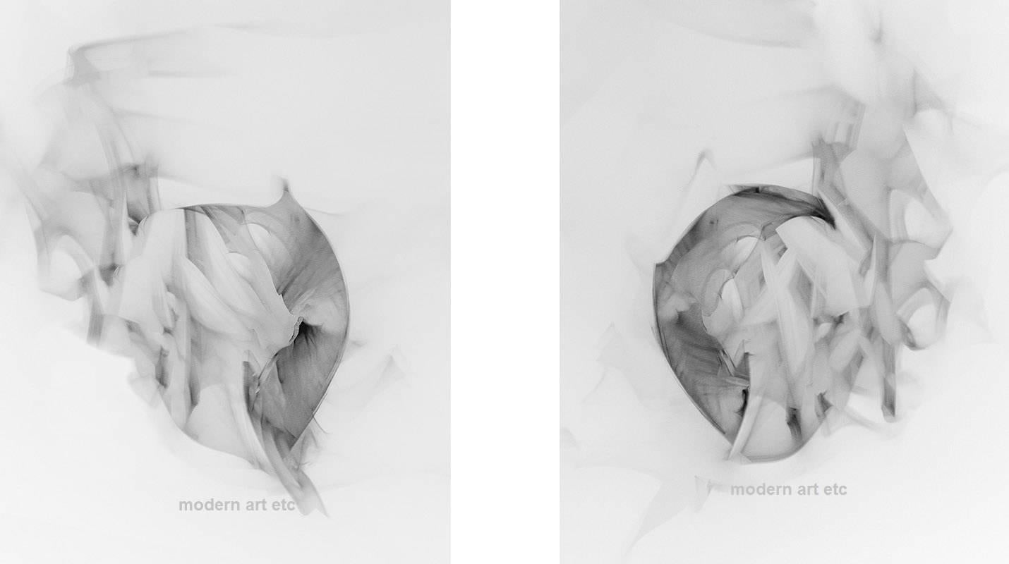 MAE Curates Figurative Photograph - Photography - Rendezvous I and II (black and white abstracts)  - both