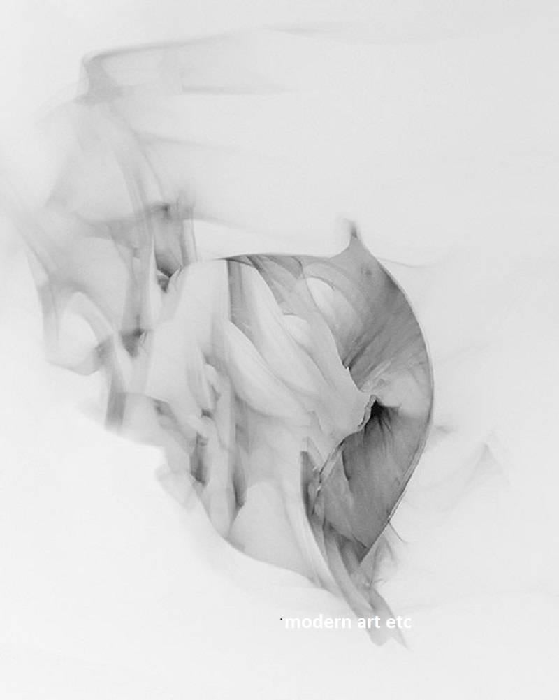 Photography - Rendezvous I and II (black and white abstracts)  - both - Gray Figurative Photograph by MAE Curates