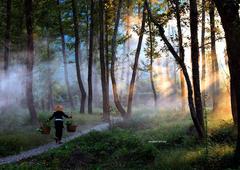 Photograph - Tibetan Children