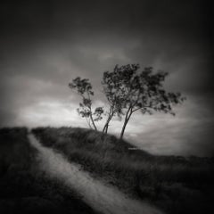 Photography - Black and White series - Nature