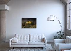 Beach Comber - large format photograph of iconic utility truck at night