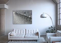 SPQR ( Rome) - vignette urbaine monochrome et intemporelle de la ville éthérée d'Italie