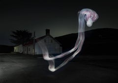 Project 12:31 - long exposure light drawing recreating the human form 