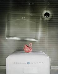 Persephone I 6