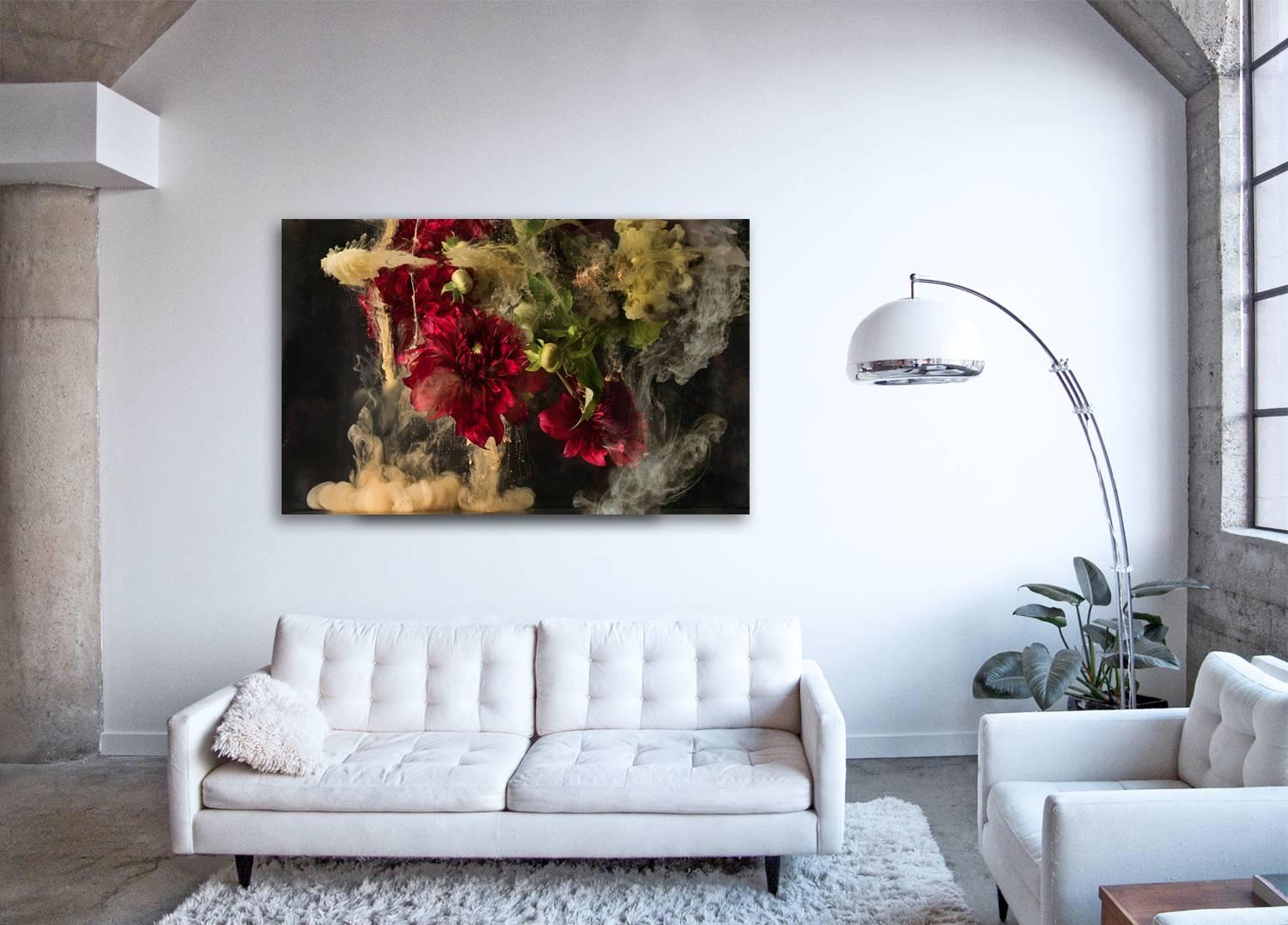 Flora I – Großformatige Fotografie abstrakter Blumen- und flüssiger Wolken explosion – Photograph von Christian Stoll