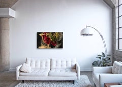 Flora I - Großformatige Fotografie einer abstrakten botanischen flüssigen Wolken explosion