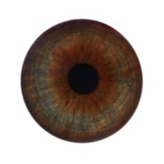 Iris II 10