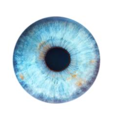 Iris III 10