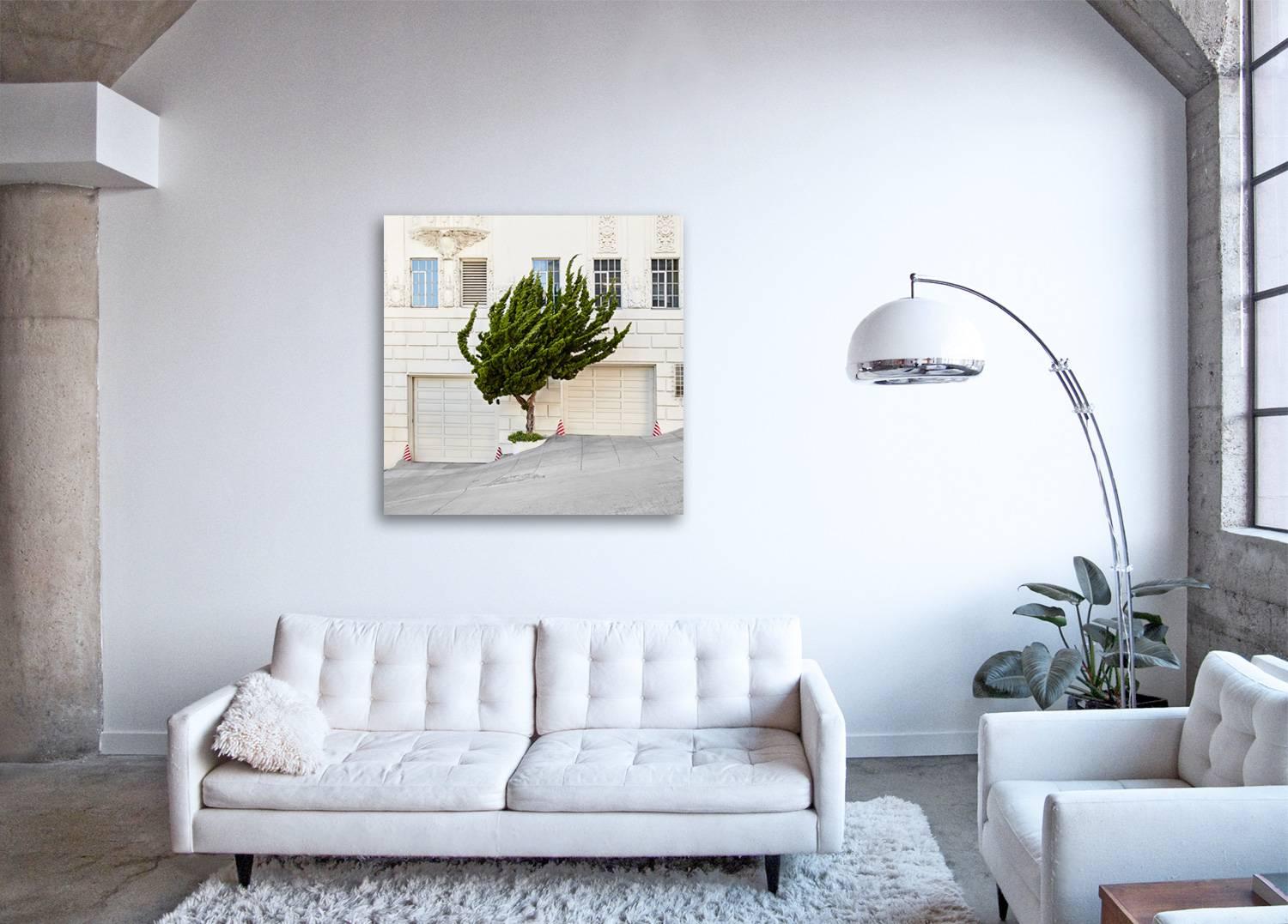 Topiary I - large format photograph of ornamental shaped urban street tree - Contemporary Print by Frank Schott